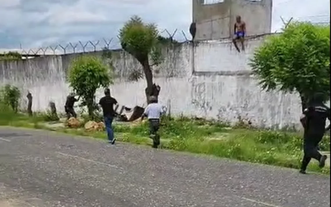 protesto, insurreição, revolta