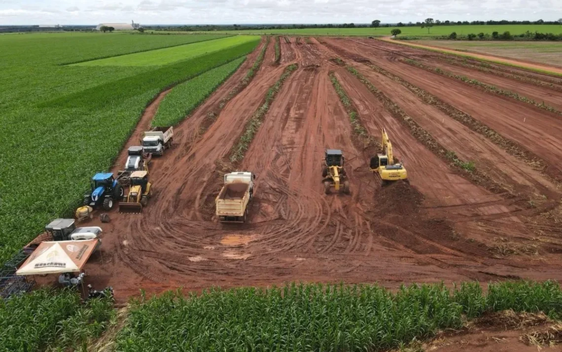 produtos agrícolas, grãos, itens de plantio