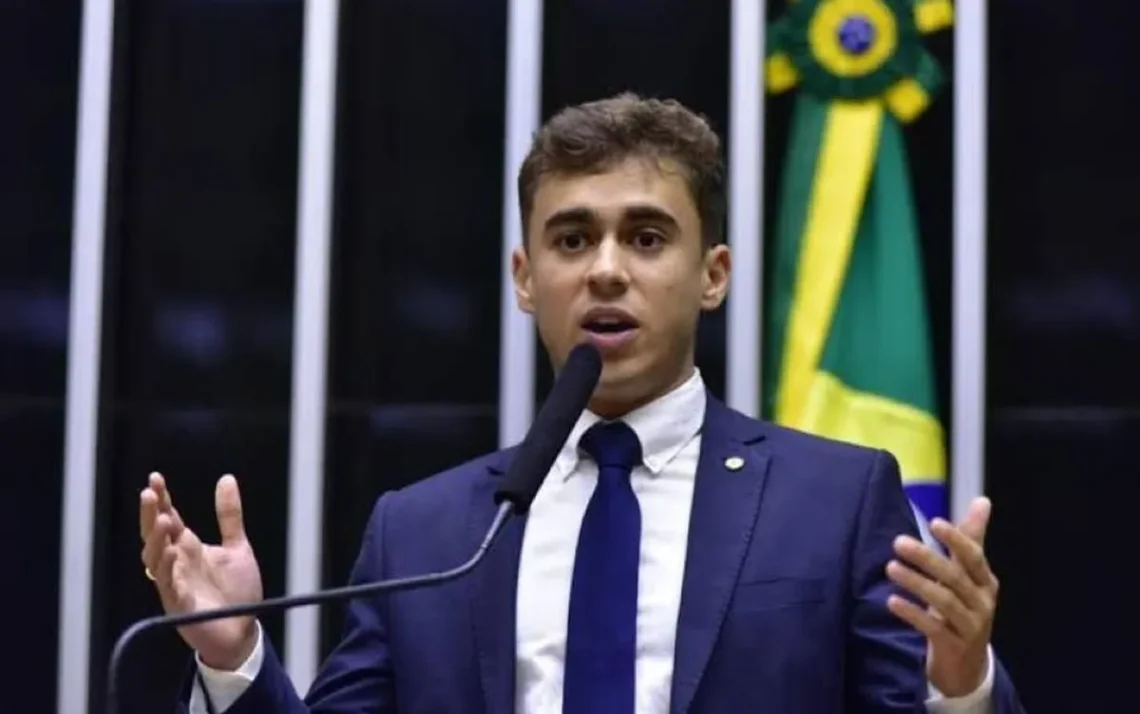 deputado, parlamentar