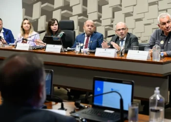 ensino secundário, educação secundária, ciclo secundário