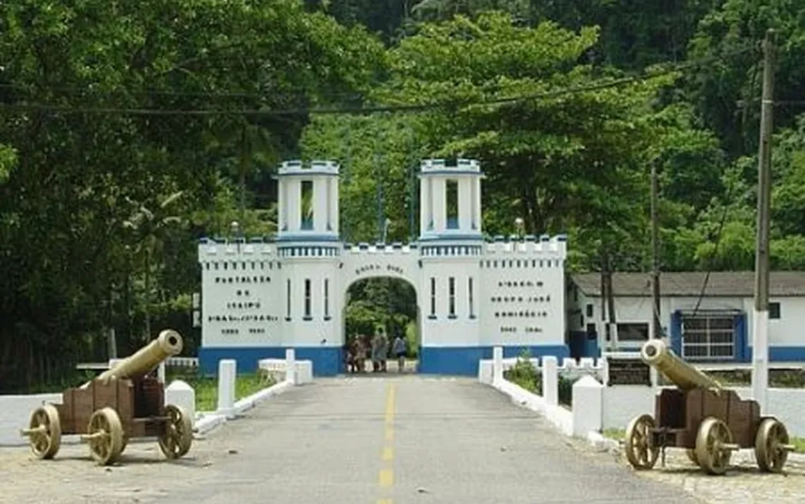 Forças Armadas, militares, ente estatal