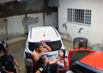 autoridade, agente da lei, oficial