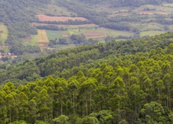 desertificação;