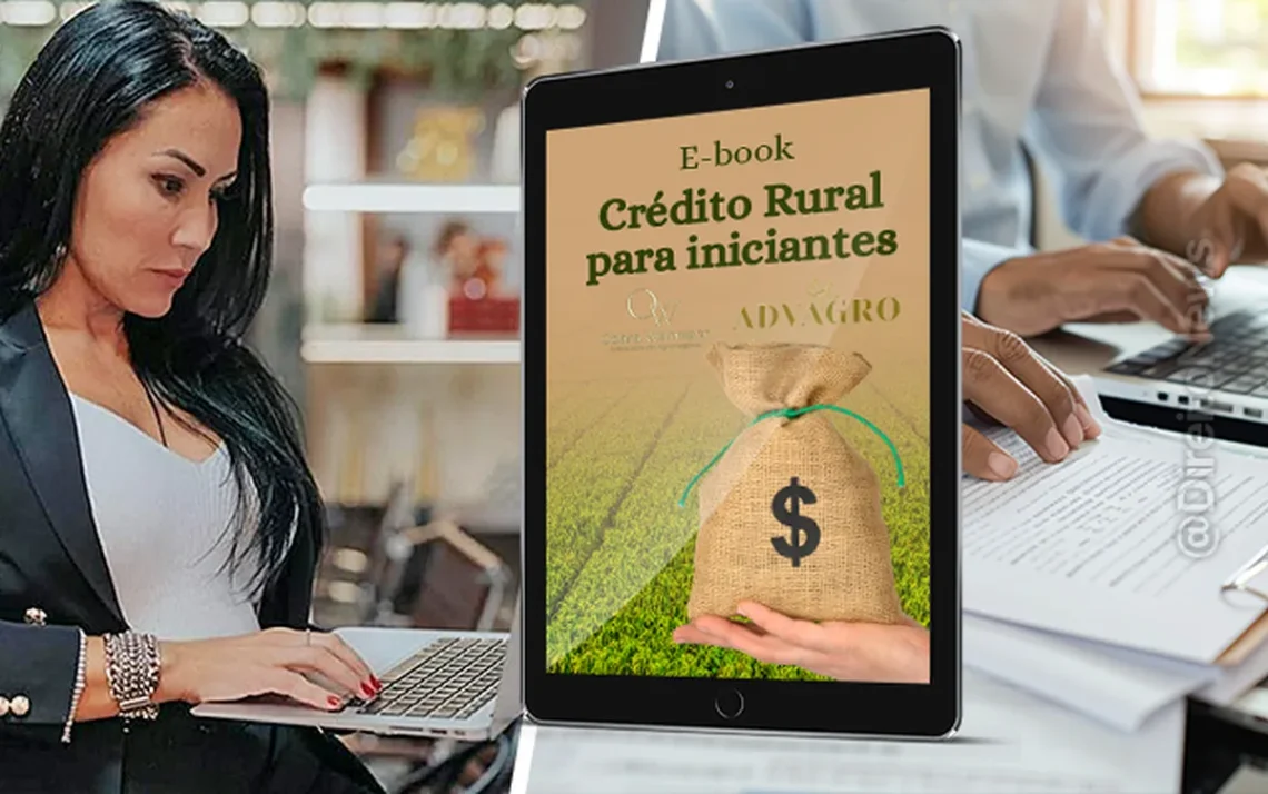 financiamento, crédito, para produtores, rurais, crédito, agropecuário;