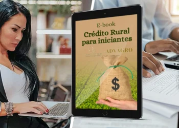 financiamento, crédito, para produtores, rurais, crédito, agropecuário;