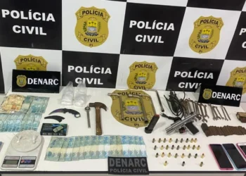 Departamento Estadual, Repressão a Narcotráfico, Polícia Civil do Piauí;