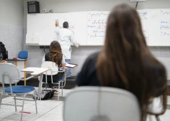 Plano Nacional de Educação, PNE;