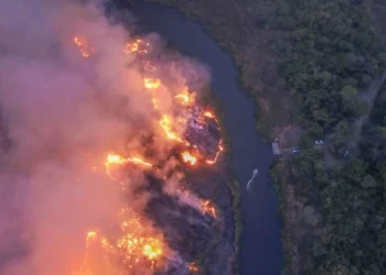 incêndios, fogo;