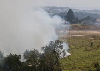 incêndios provocados, queimadas, criminosos;