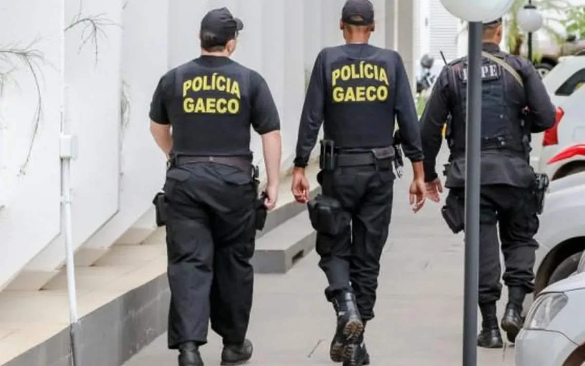 Grupo de Atuação Especial de Combate ao Crime Organizado, Ministério Público;