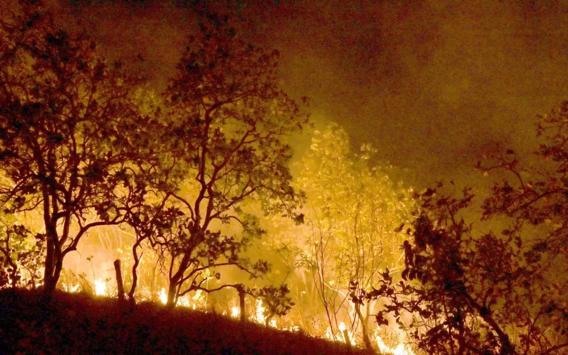 incêndios, focos, de calor;