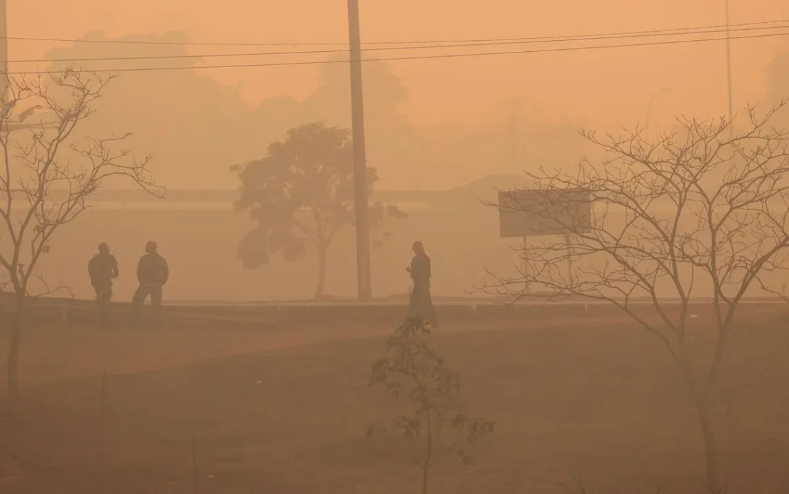 incêndios, fogo, incêndios florestais;