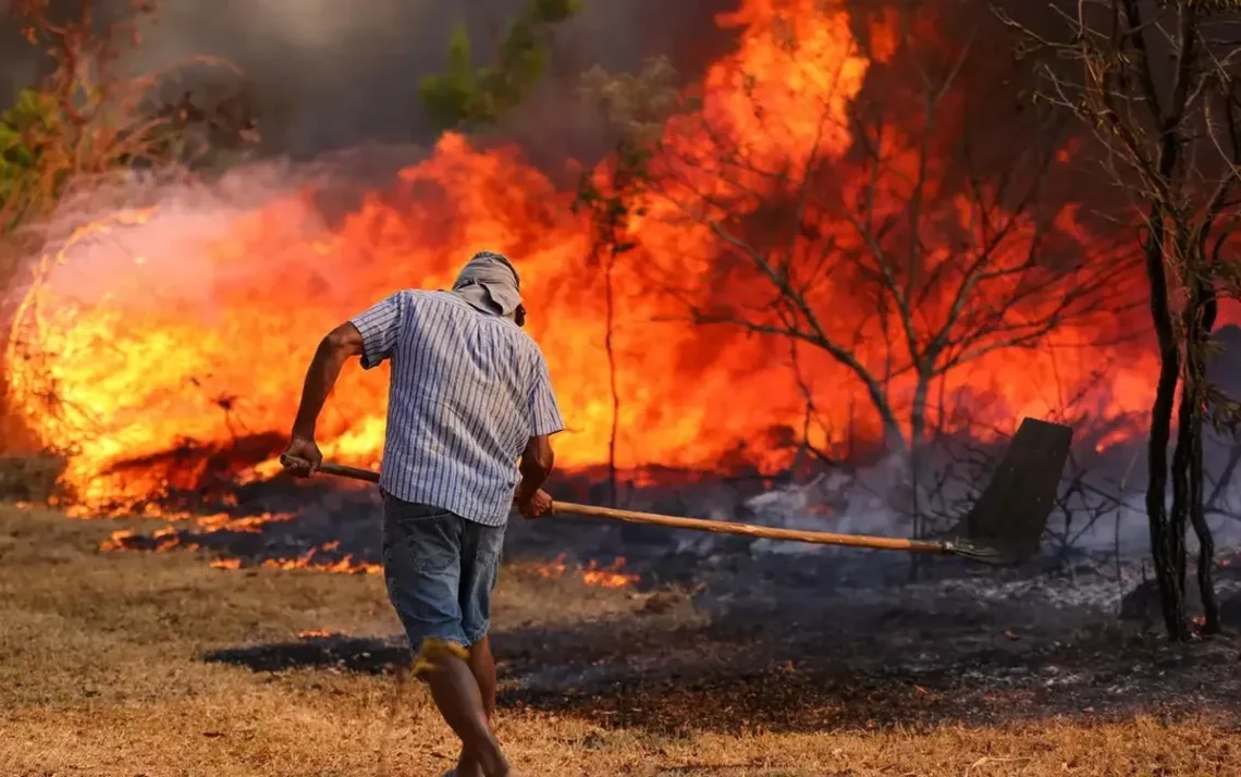 incêndios, focos, de incêndio, fogo;